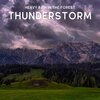 Thunderstorm Global Project from TraxLab - Thunderstorm: Heavy Rain in the Forest, Pt. 01