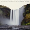 Nature Sounds - Sons de la nature、Soothing Music Specialists、Musique pour Détendre en Temps Libre - Auto-guérison
