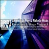 Richelle Hicks、Amateur At Play - Emotions (I Hear Voices)(Amateur's Classic Vocal Mix)