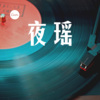 林婉儿 - 夜瑶 (dj)