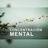 Concentración - Angeles