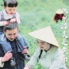 U-Young - 故乡醉美是黄茶