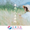 唐不火 - 沙漠网红 (DJ版)