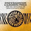 Syke 'n' Sugarstarr、Alexandra Prince - Are You Watching Me (Bass Elephants Remix)