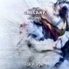 Gallary - Reasons