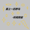听闻荣耀 - 菠萝咒