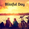 The Relaxing Sounds of Swedish Nature - Elm