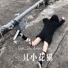 浪子.. - 三只小花猫 (Remix)