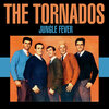 the tornados - Chasing Moonbeams