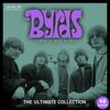 The Byrds - All I Really Want to Do (Single Version)