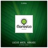 Arkade、Lucas Anzo - Africa Soul (Original Mix|Explicit)
