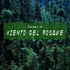 Lluvia del Bosque - Sonidos de Viento del Bosque, Pt. 01