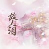 邓菡 - 故人泪