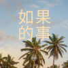 怀特迈思 - 如果的事 (dj)