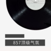 刘晨佳《857顶级气氛 (Remix)》[MP3/LRC]