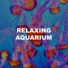 Relaxing Aquarium《Underwater Sounds》[MP3/LRC]