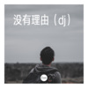 伊利丹 - 披星戴月的想你 (dj)