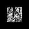 Wiesel、Doktr、Silend - Blair Witch (Explicit)