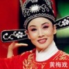 韩再芬 - 夫妻观灯