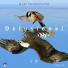 Axel Terblanche - Delusional (Original)