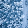 Womb Sounds and White Noise - White noise womb sounds