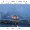 Nature Therapy - Winter Lake House in a Blizzard Snowstorm: One Hour