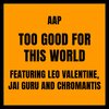 AAP - Too Good For This World (Explicit)