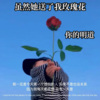 你的明道 - 虽然她送了我玫瑰花