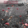 wiener singverein、Herbert von Karajan、Franz Joseph Haydn、Berliner Philharmoniker Orchestra - Largo