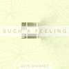 Deyn Shawket - Such a Feeling (Radio Edit)