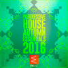 Blugazer、Shingo Nakamura - Ethereal Concepts (Shingo Nakamura Remix)