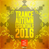 Masoud、Tara Louise、Vintage & Morelli - My Dreams (Vintage & Morelli Dub Remix)