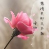 冷御 - 想消失却又不敢