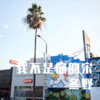 芭比迪丽拉 - 我不是你的宋冬野 (Remix)