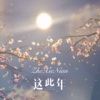 球球 - 这些年 (Remix)