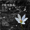 若瑜 - 尘埃里的花 (伴奏)
