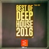Shingo Nakamura、Luiz B - Alice in Wonderland (Luiz B 'Deep' Remix)
