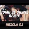 Mezcla Dj - Como Se Siente (Remix)