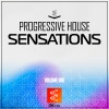 Dan Sieg - Iris