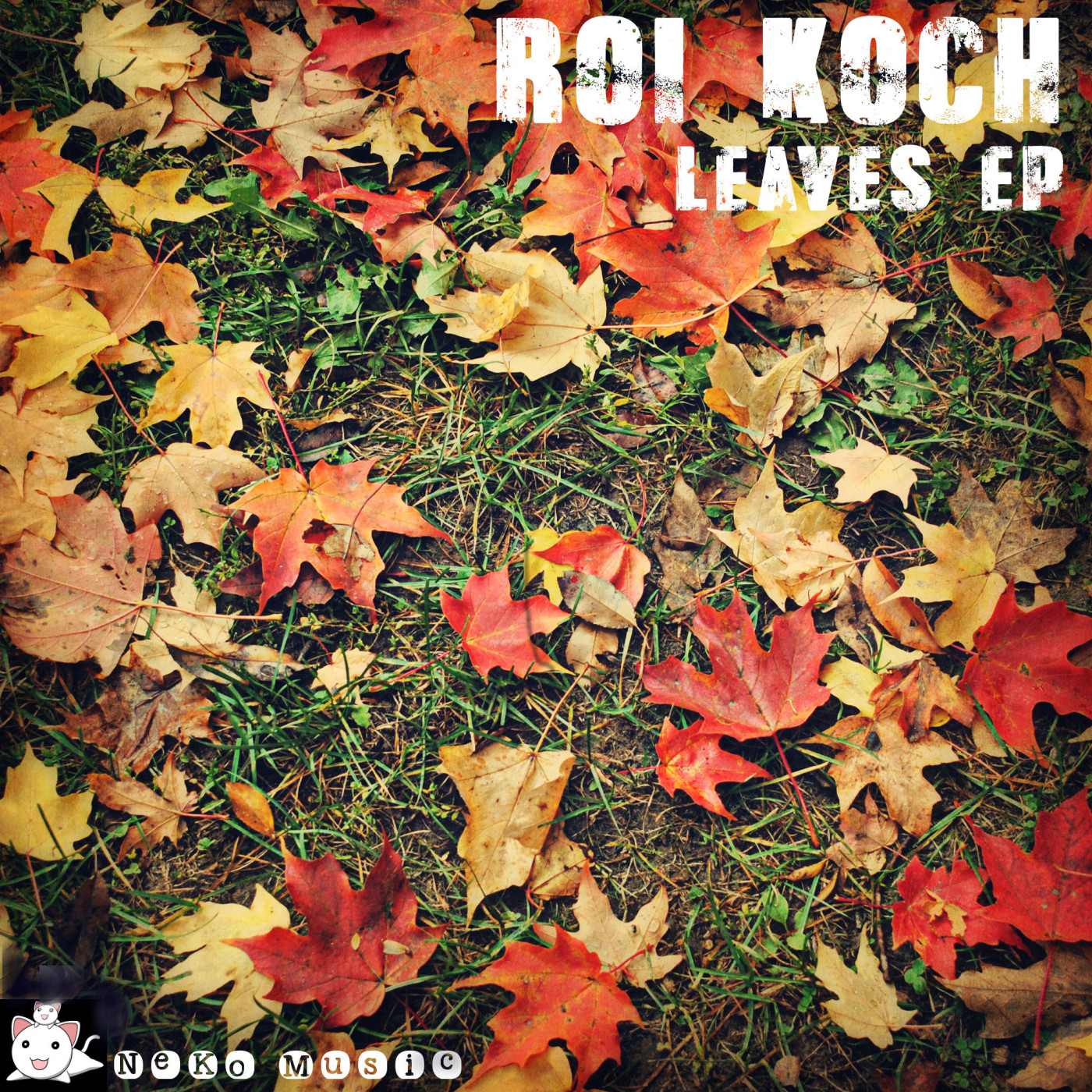 Roi Koch - Leaves