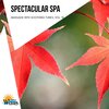 Yogsutra Relaxation Co - The Holy Water