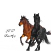Lew - Lil Nas X-Old Town Road (LEW remix)