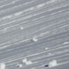 Wildpants - WhiteOut