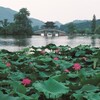 Leavv - dojo