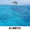 鹤楠 - 潮音搭搭