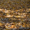 Gunz《Jazz Naruto》[MP3/LRC]