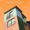 Hushrov Bhesania、Nexuda - Orange Skies (Nexuda Remix)