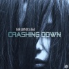 Dan Leon Dz、John Dahlback - Crashing Down