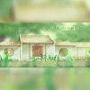 言无期 - 空山新雨后