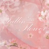 倩倩1204 - 舞い落ちる花びら